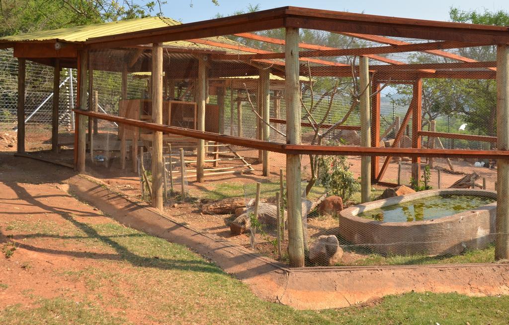 Ebundu Lodge White River Exterior photo